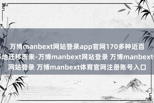 万博manbext网站登录app官网170多种近百万只候鸟从西伯利亚等地迁移而来-万博manbext网站登录 万博manbext体育官网注册账号入口