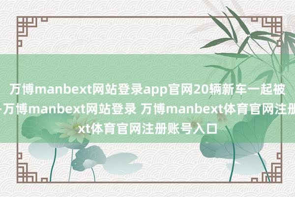 万博manbext网站登录app官网20辆新车一起被淹至灭顶-万博manbext网站登录 万博manbext体育官网注册账号入口